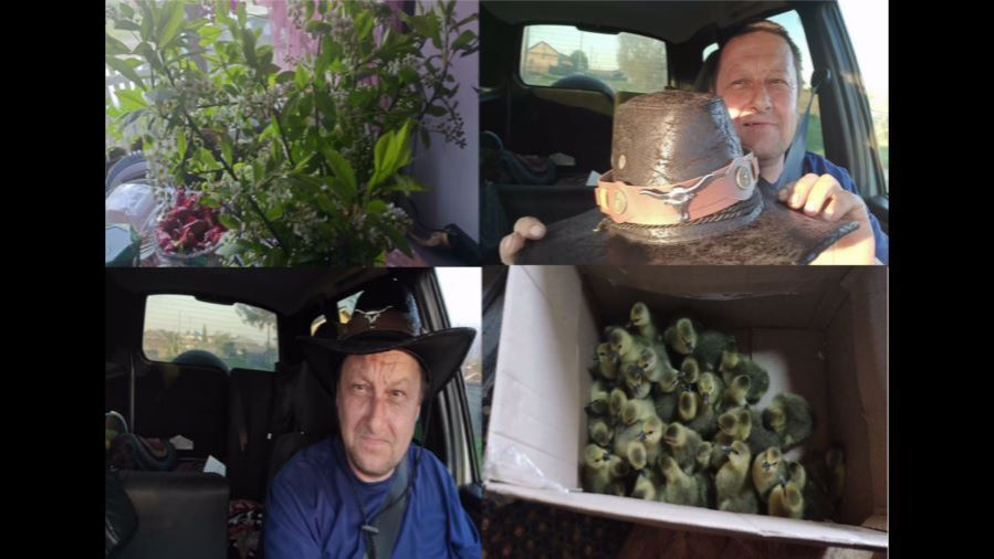 ВЛОГ /ДЕРЕВНЯ/ПОЕЗДКА /ПОДАРОК/ГУСЯТА