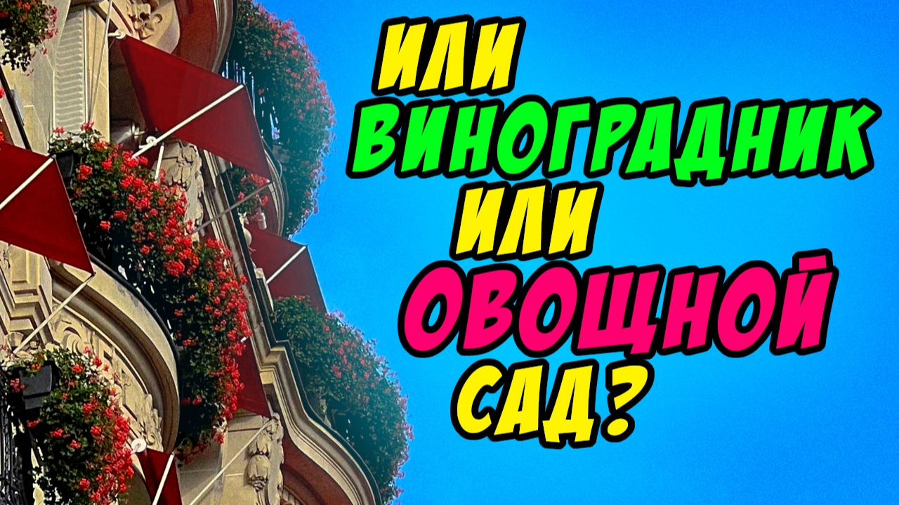 Или виноградник или овощной сад - Василий Савич. Христианские проповеди