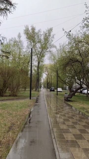 Попала под майский тёплый дождь.