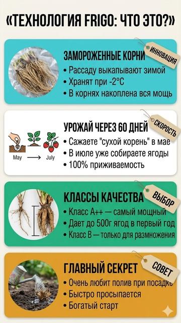 📦 РАССАДА БЕЗ ЛИСТЬЕВ НЕ ВЫБРАСЫВАЙТЕ, ЭТО ФРИГО ❄️