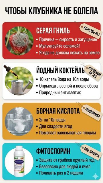 🏥 СКОРАЯ ПОМОЩЬ ДЛЯ КЛУБНИКИ 🍓