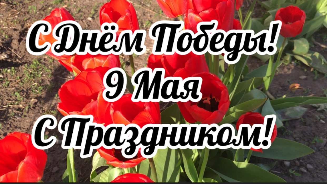 Весеннее цветение орхидей. Поздравляю Всех с Праздником!