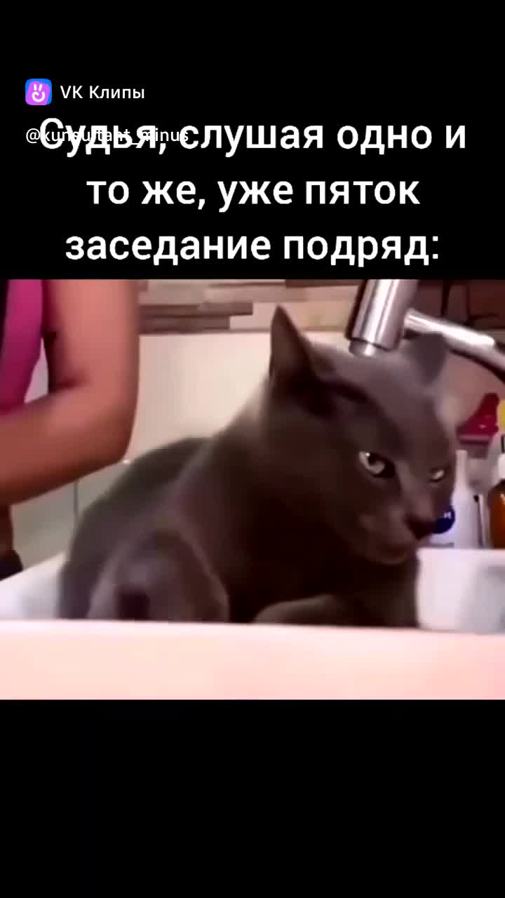 #мем #Мемосяндия #Угар