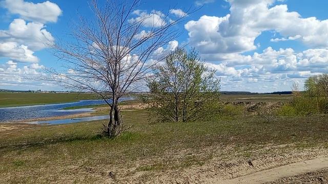 красивая природа