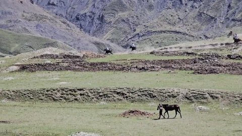 Скачки в с. Гагатли.На 2 кругов. 10.05.2026 год