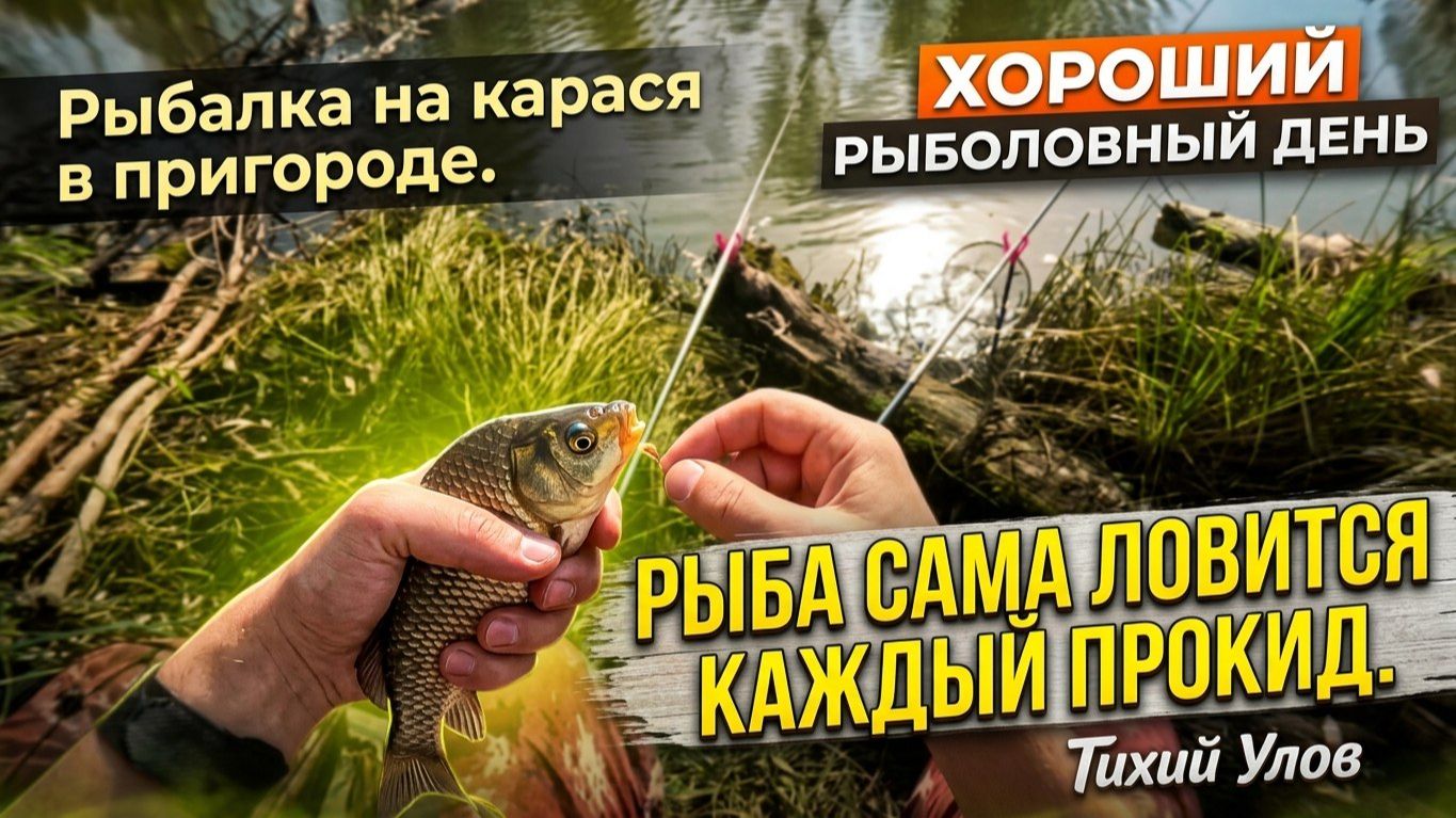 Рыбалка на касаря в пригороде. Рыба сама ловится каждый прокид. Хороший рыбаловный день