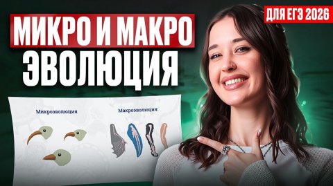 ОТ ГЕНА ДО ВИДА / Микро и макроэволюция за 20 минут / Подготовка к ЕГЭ по биологии 2026 НА МАКСИМУМ