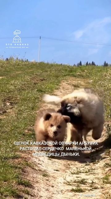 Когда люди спасли, а лучший друг помог поверить в любовь... ❤️🩹
