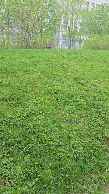 Без прошлого нет будущего