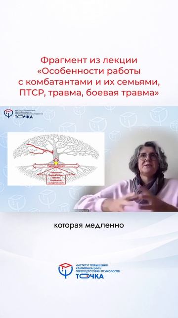 Первичная автономия: ваш «генетический код» личности.