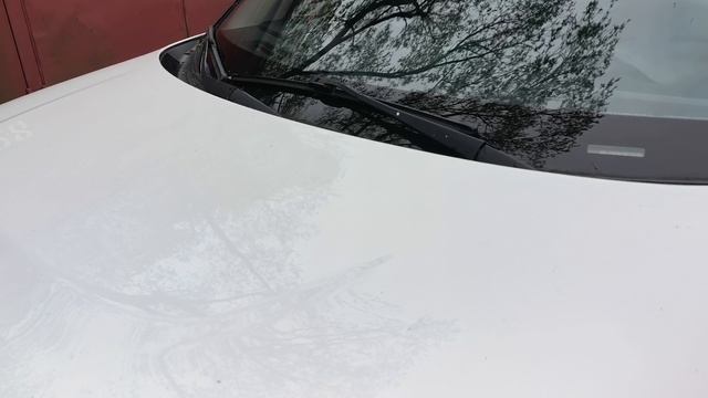 VID_20260512_101017.mp4