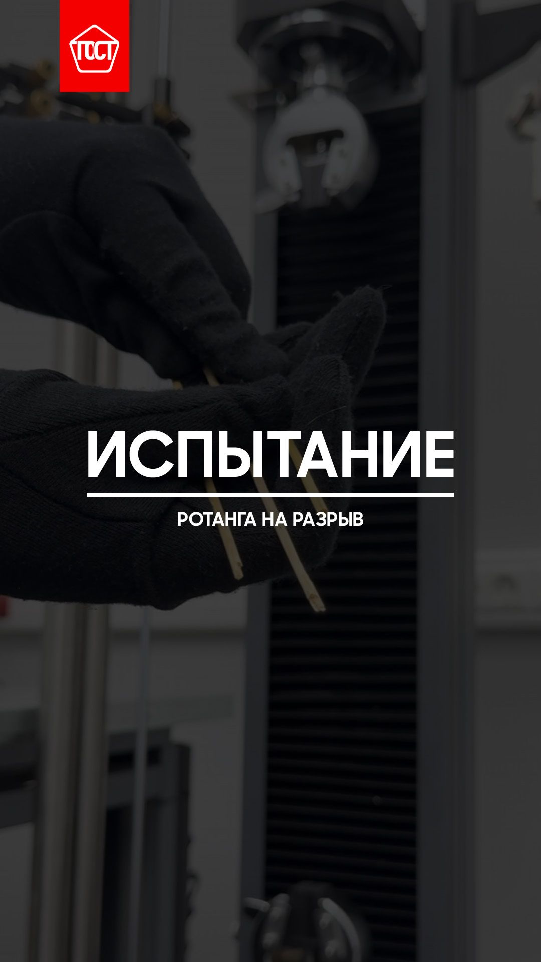 Испытание ротанга на растяжение.
