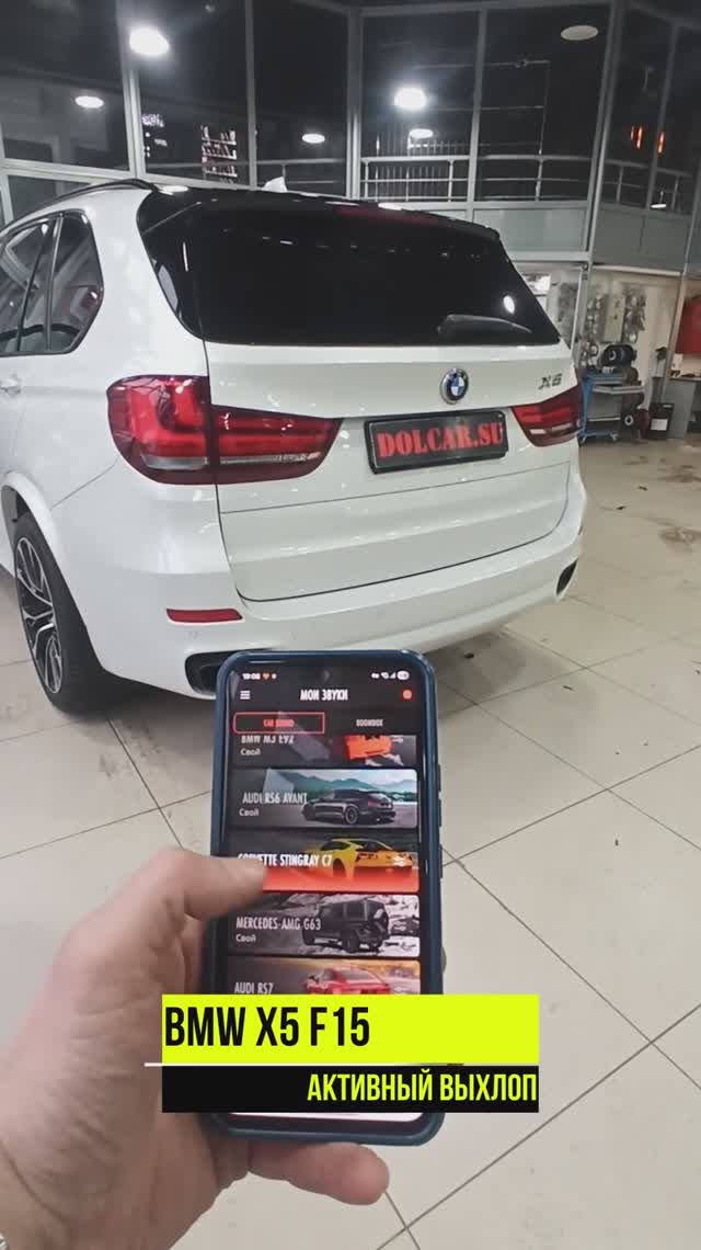 электронный выхлоп Thor и BMW X5 F15