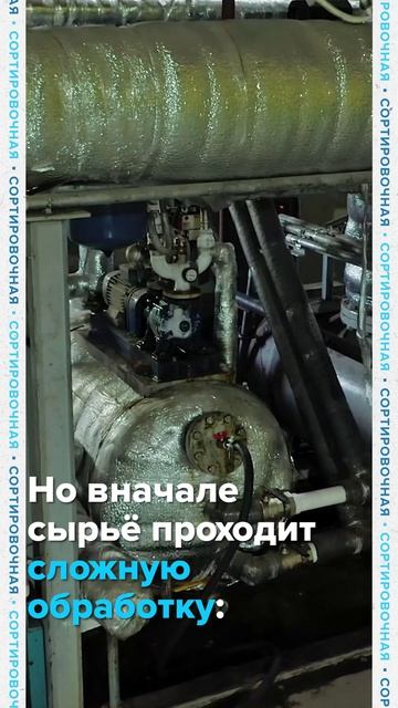 ТЫ ДАЖЕ НЕ ПРЕДСТАВЛЯЕШЬ, ЧТО ТВОРИТСЯ ВО ФРИТЮРЕ