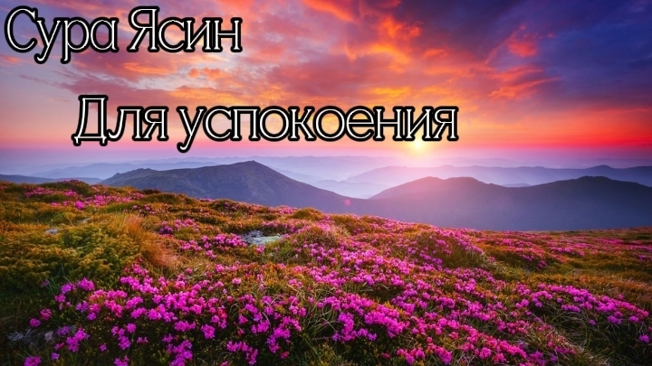 Чтение Корана Сура Ясин, Красивое чтение Корана