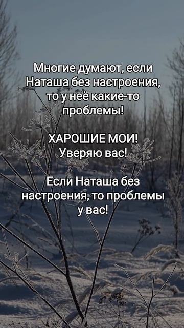 НЕМНОГО ЮМОРА #юмор #наташа #обзоры #матьчестная