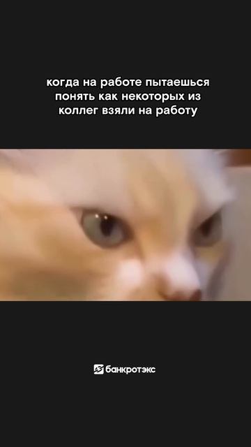 Тайны и загадки одного прекрасного коллектива
