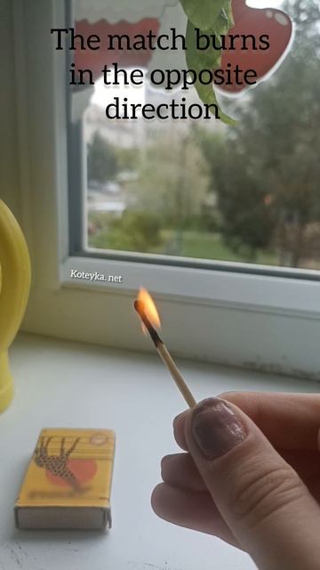 The Match Burns In The Opposite Direction
