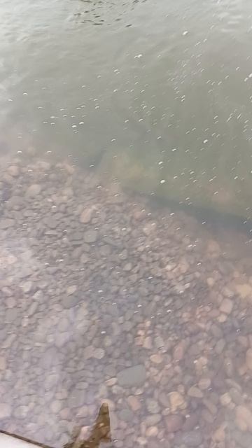 зона регенерации воды