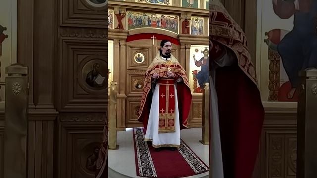 Беседа Христа с иудеями. О слепоте и пастырстве. Проповедь о. Вячеслава. 14.5.26