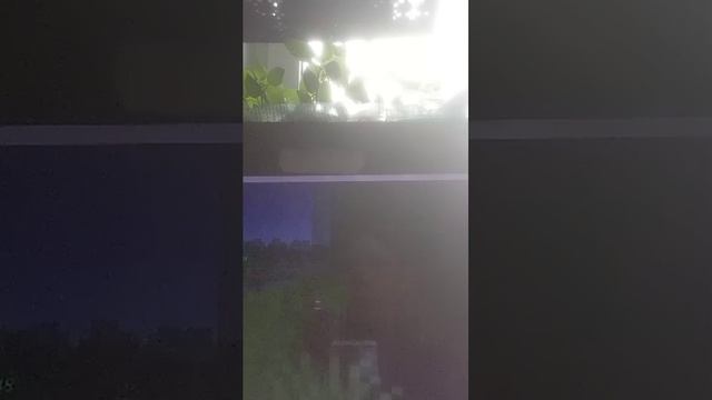 й трансляция по майнкрафту