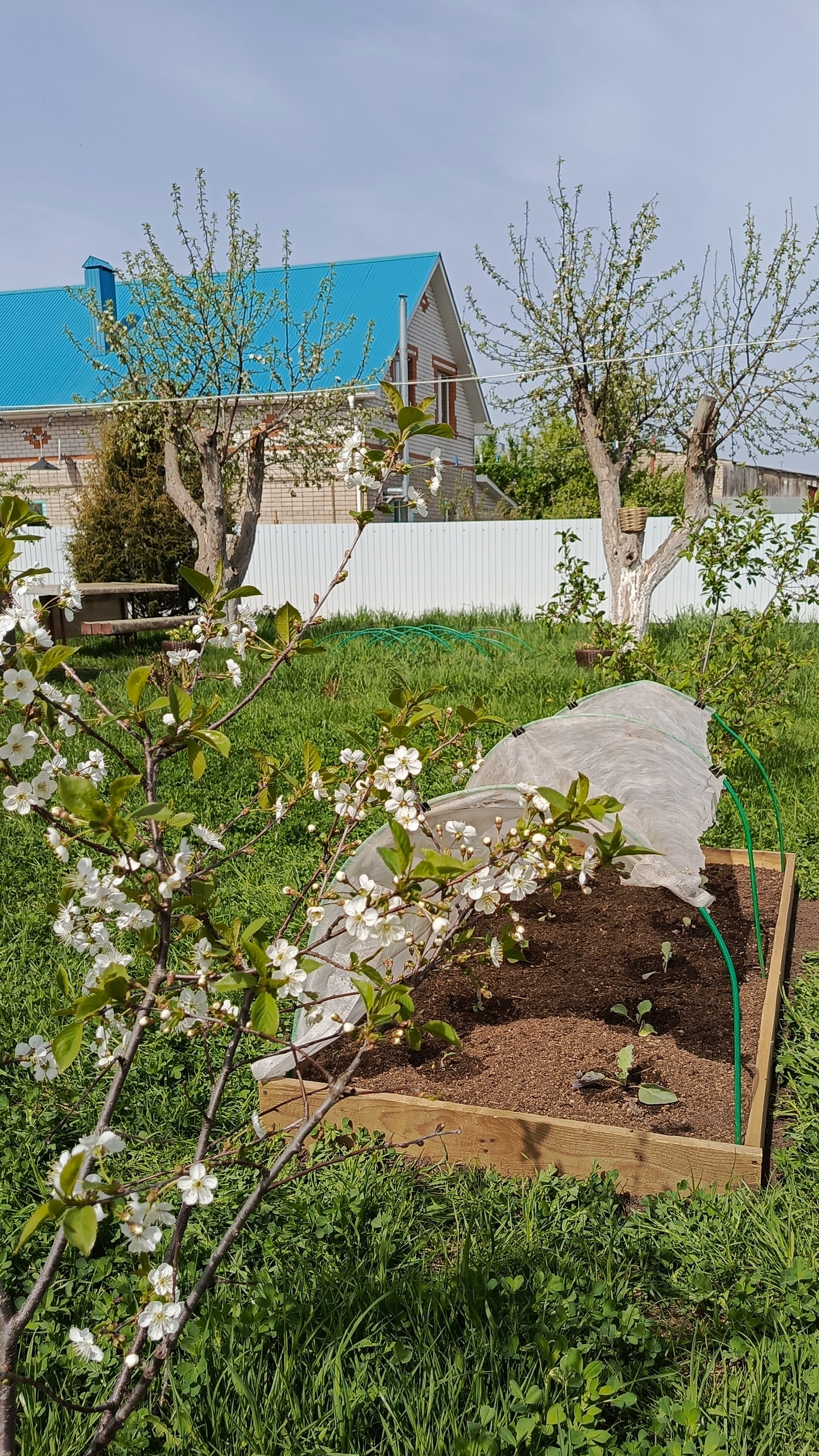 Грядки доделаны и засеяны🌿Серёжа заболел🪿Всё готово к сенокосу 🏡🌳