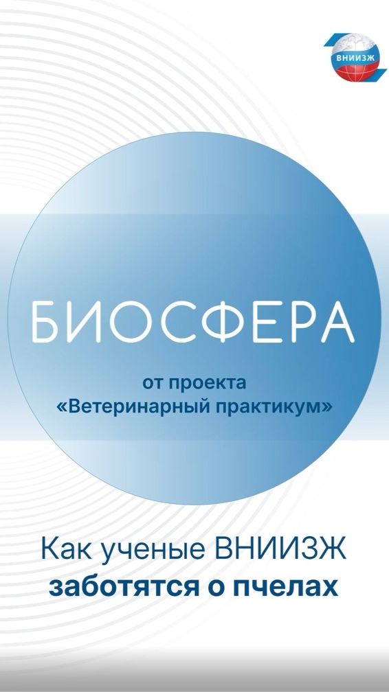 Сегодня отмечают Всемирный день пчел