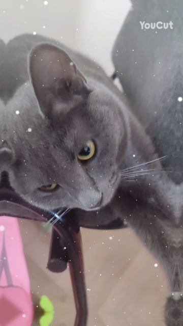 :3