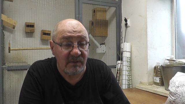 как заказать на озоне 5 кг мешки и 3 л ведра с кормом для птиц