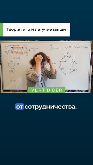 Теория игр и летучие мыши