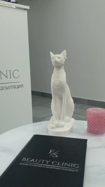 Благодарим партнёров за сотрудничество!