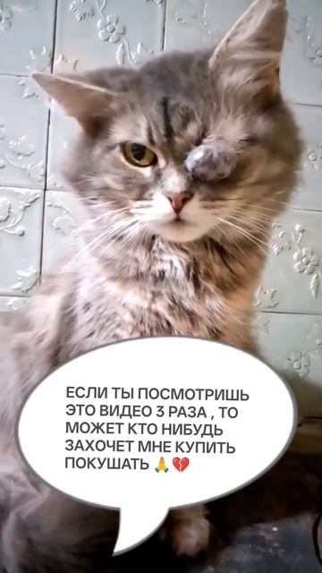СОНЕЧКА 14 ЛЕТ 🙏🙏🙏
