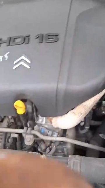 E95