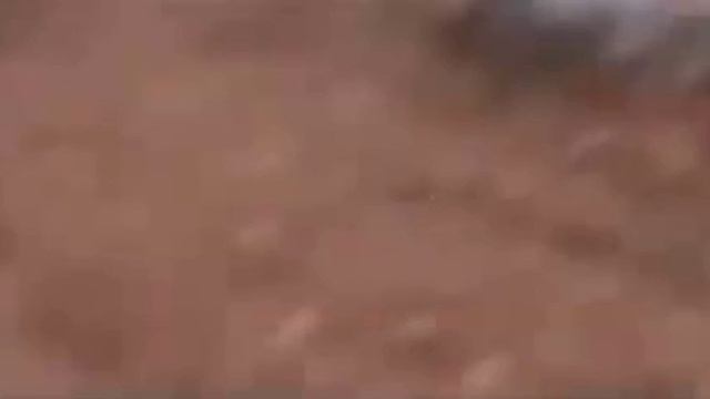 Умираю но не сдаюсь