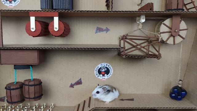 🐹Хомяк  бегаtт по удивительному корабельному лабиринту для домашних животных в реальной жизни