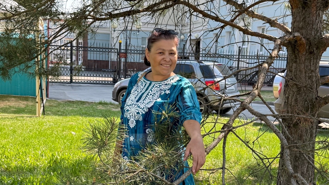 лето в деревне