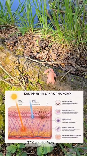 Лицо без SPF прямо сейчас