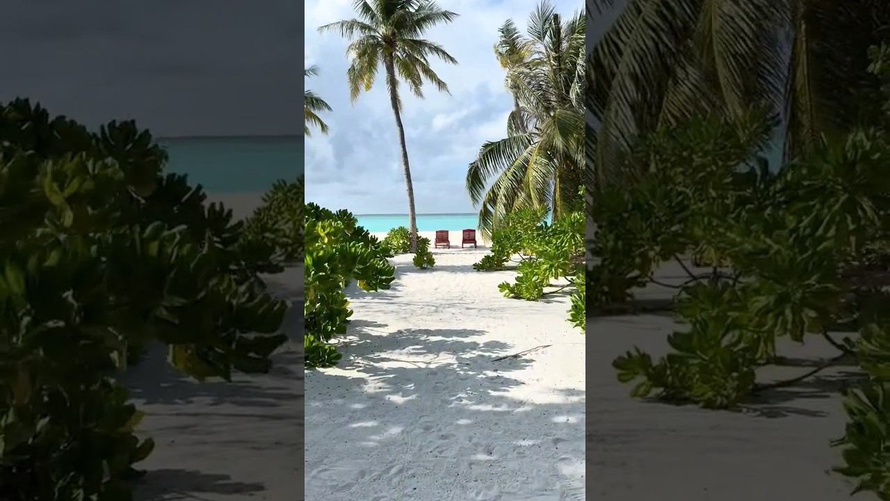 Villa Park Sun Island Maldives #travel#villapark#maldives#hotelreview#roomtour#мальдивы#sunisland