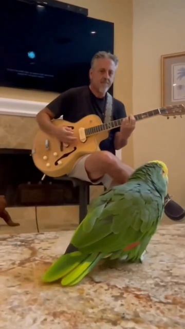 🥳🦜