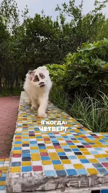 Заботиться о себе можно и без повода. И без “начну с понедельника”
