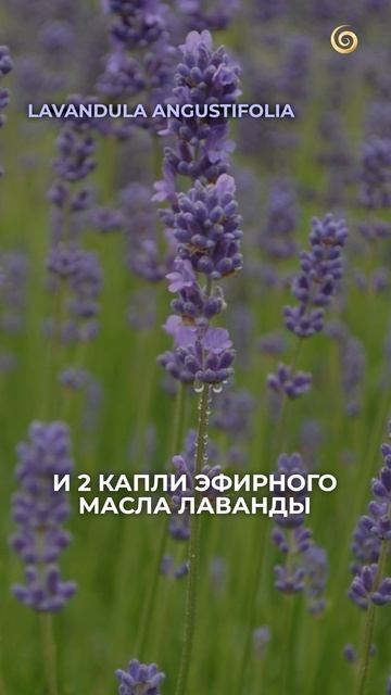 Вот ДОМАШНЯЯ маска, которая ЗАМЕНИТ салонный уход за кожей! #уход #красота #ароматерапия
