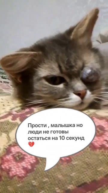 СОНЕЧКА 14 ЛЕТ ДЕВОЧКЕ 💔