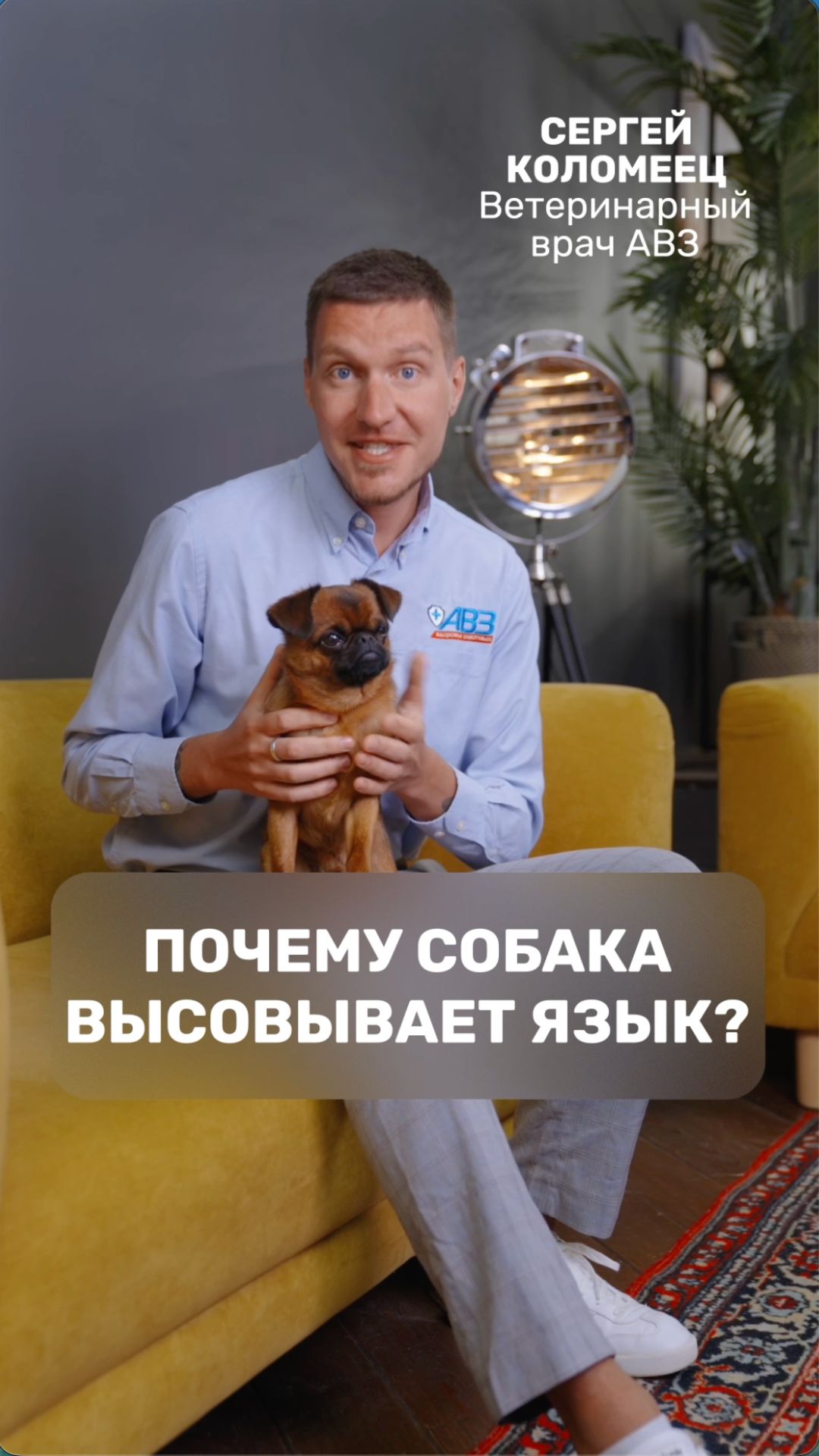 B170e3c6097c917ef2232f773d4094c2