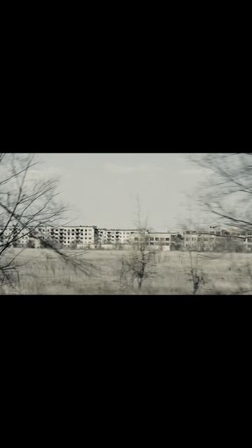 Жизнь