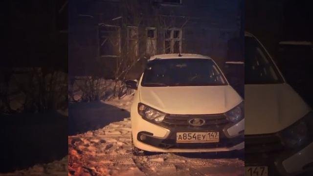 Кот пытается залезть на машину