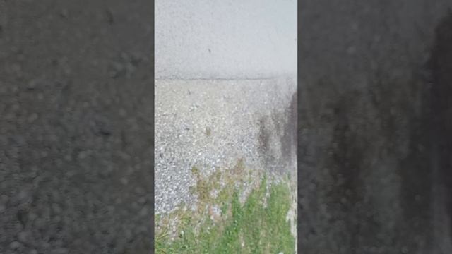 мы прослидили за Арсенам и узнали тошто он нас????????????????!!???????!!??!?!!