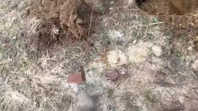Разведочное бурение под абиссинскую скважину