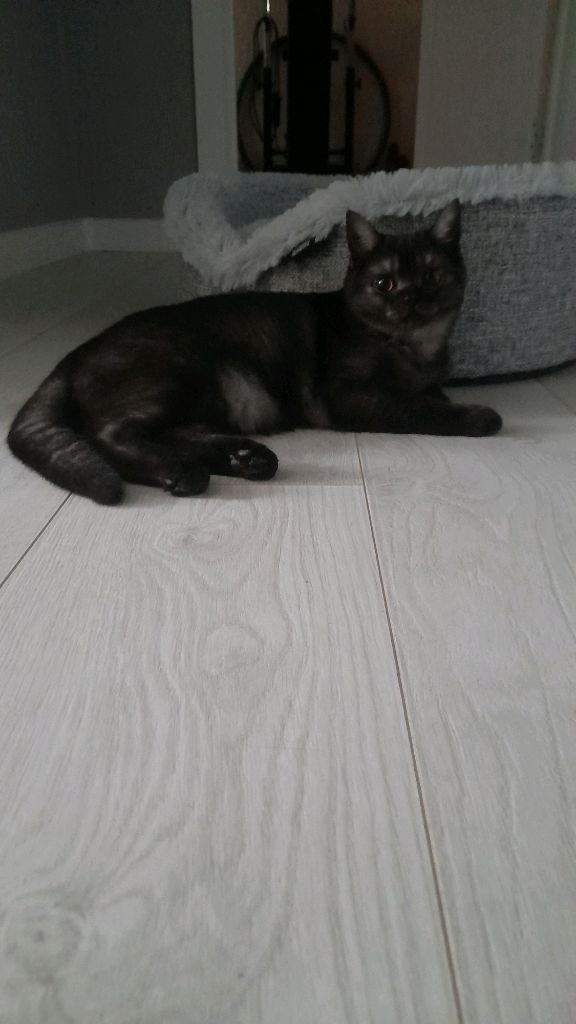 Играем в настолки, которые нашли