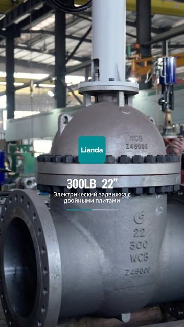 22” 300LB электрическая двойная клиновая задвижка-LIANDA