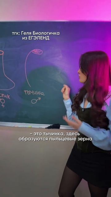 Какая ваша любимая тема в биологии? Забирай ПОЛЕЗНЫЕ ФАЙЛЫ в моем тгк в шапке канала!
